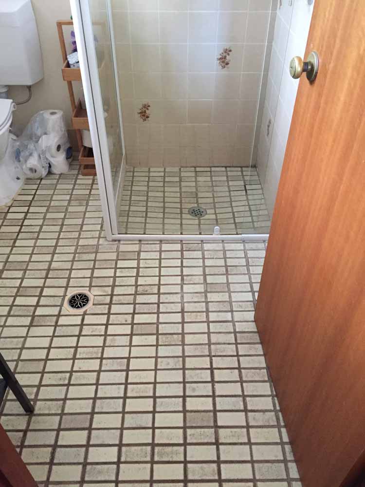 Two Bathroom Renovation on Risdon Street