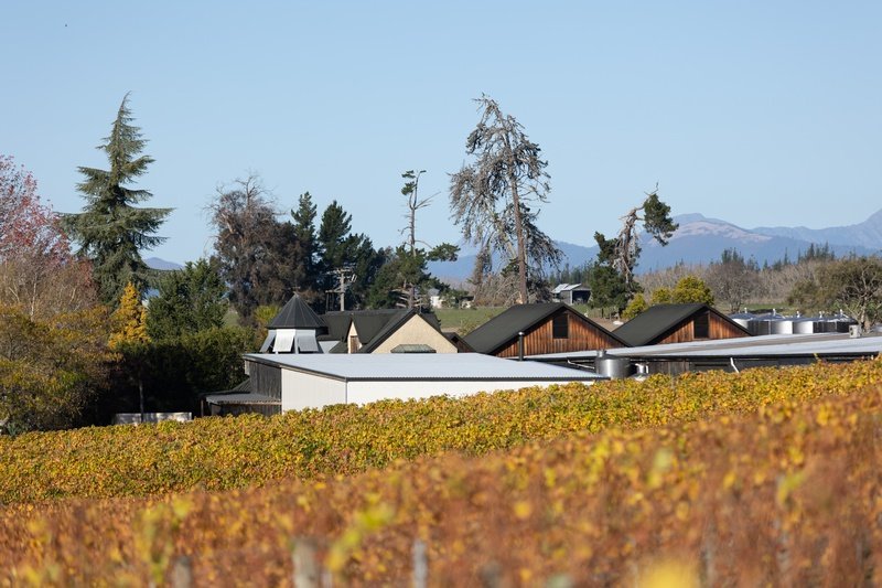 Heaphy Winery Cold Storage Warehouse Renovation Project