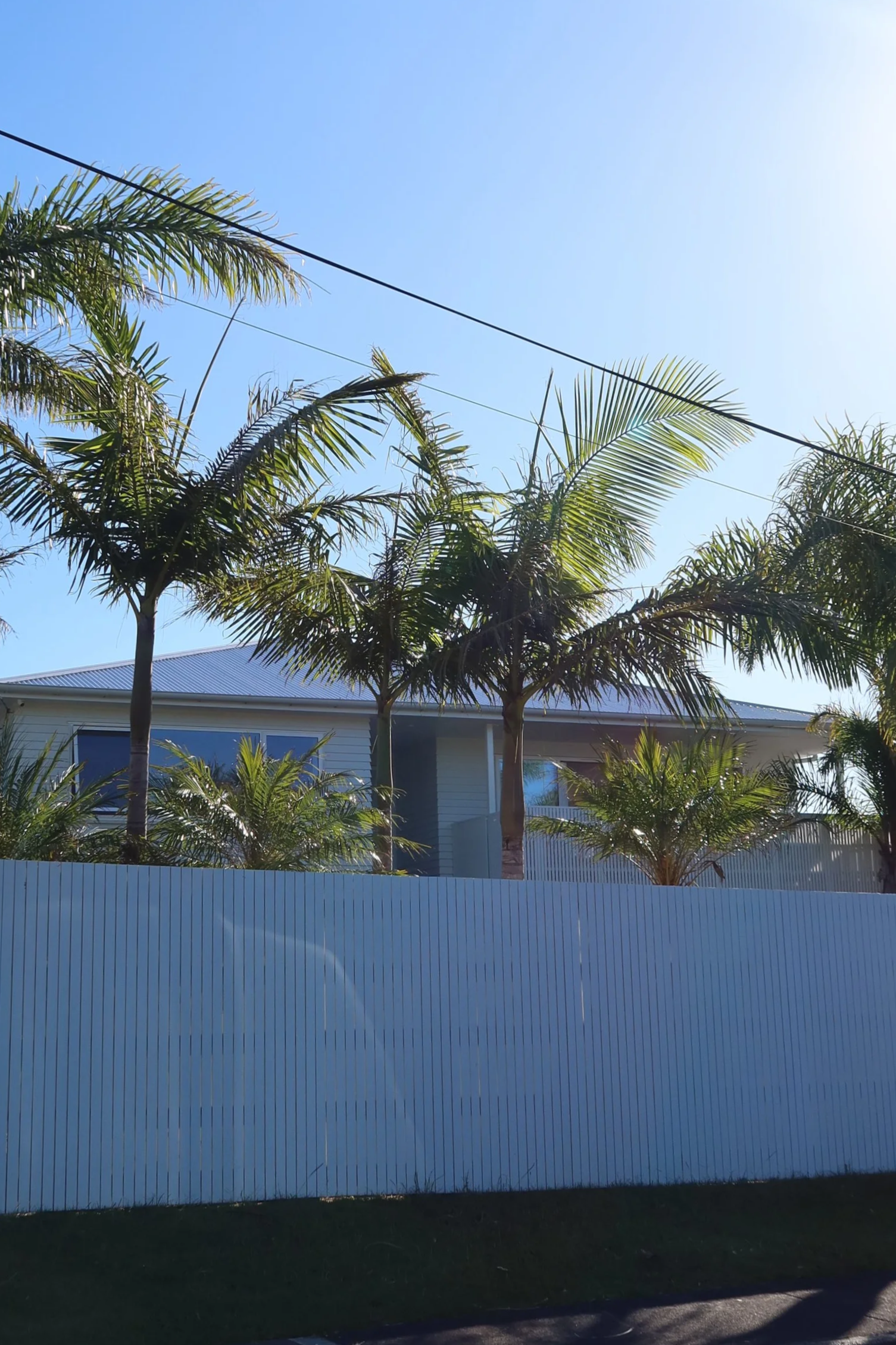 Takapuna Whole House Renovation