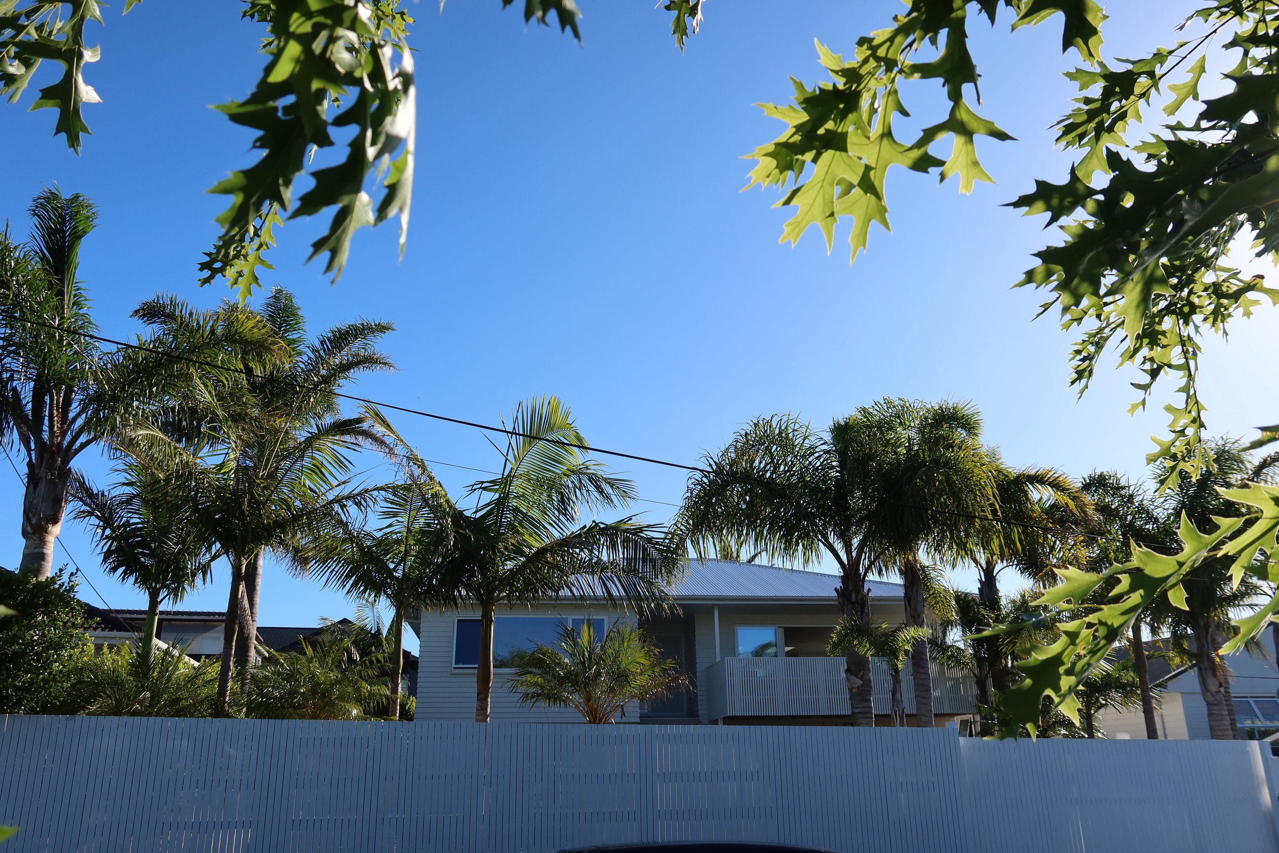 Takapuna Whole House Renovation