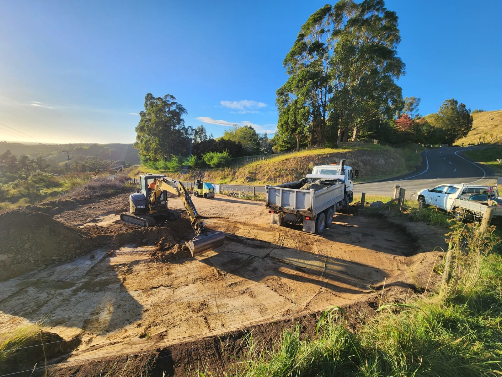 Supporting restoration of Newstead Native Bush Reserve