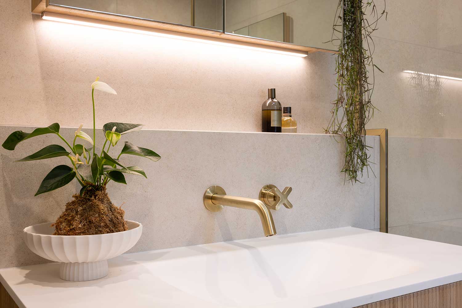 Apartment Bathroom Renovation - Freemans Bay