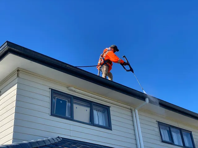 Auckland Remuera roof moss removal and gutter renovation