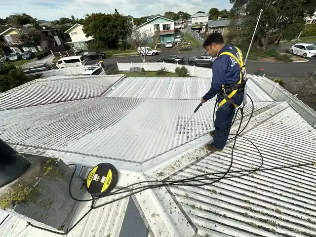 Botany Roof Cleaning and Inspection Project in New Zealand