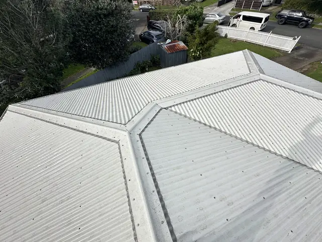 Botany Roof Cleaning and Inspection Project in New Zealand
