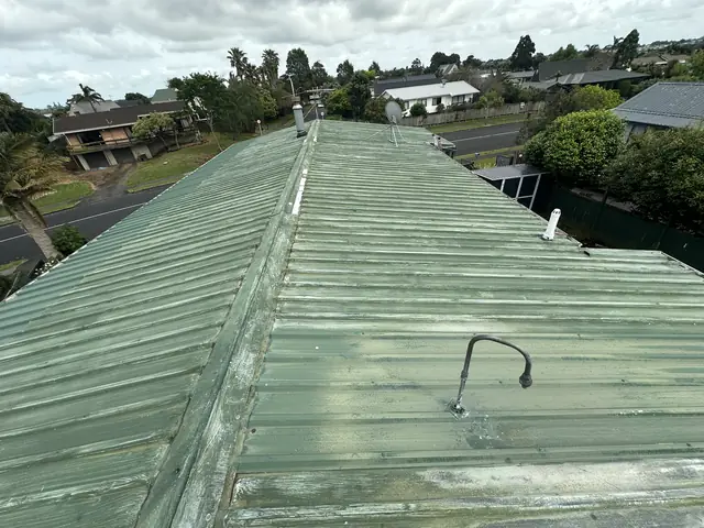 Roof Painting and Sealing Case Study - Henderson