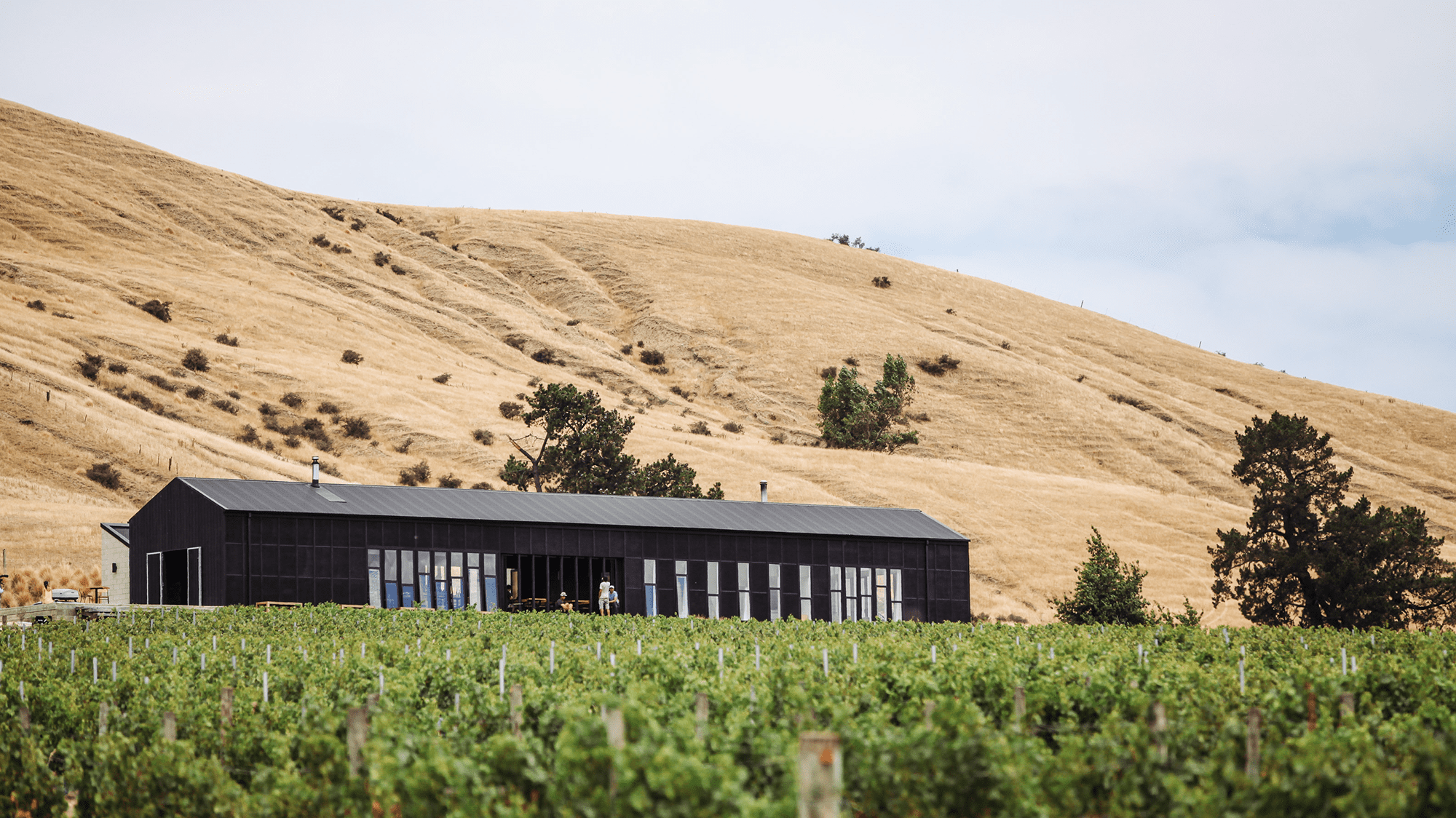 Waipara的Black Estate酒庄建筑项目