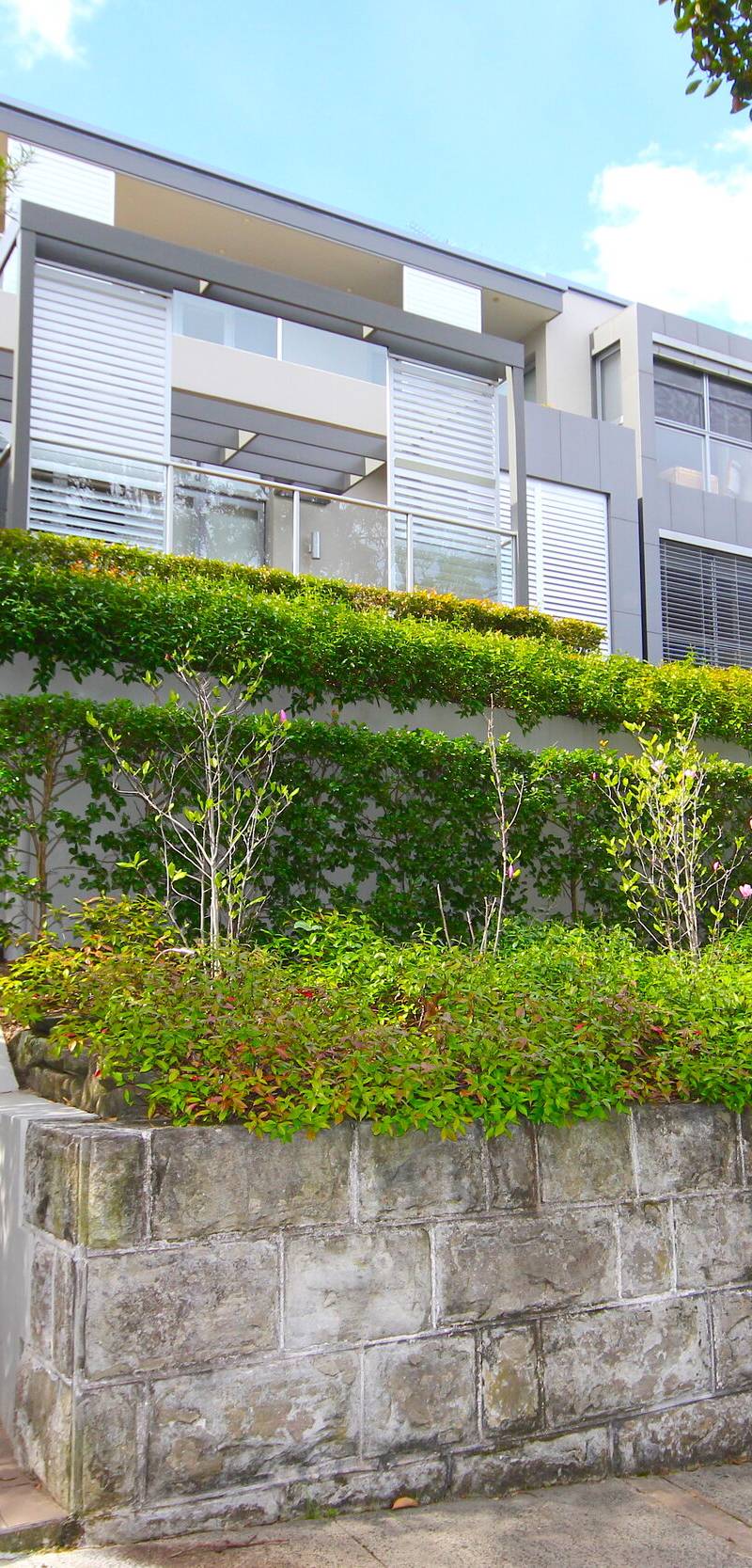 Cải tạo lớn nội ngoại thất nhà ở tại Bellevue Hill