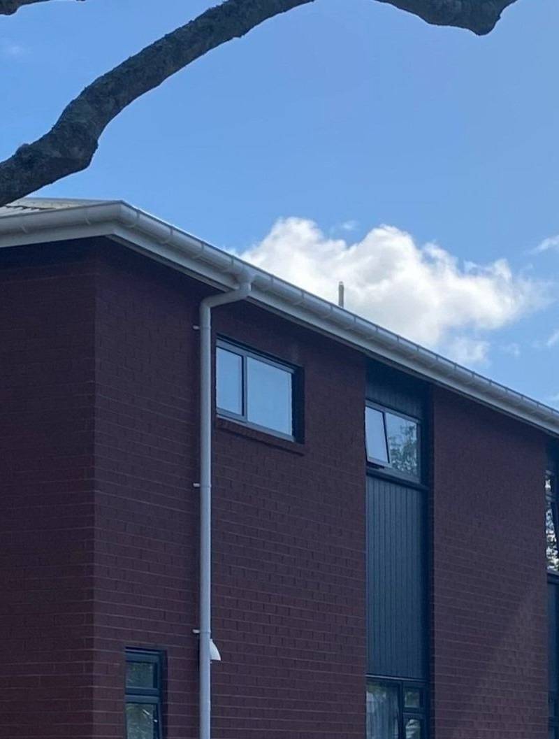 Mt Albert 两套独立屋新建项目