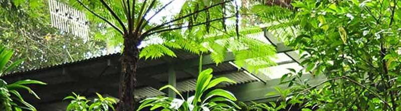 مشروع تخطيط توسعة Crystal Creek Rainforest Retreat