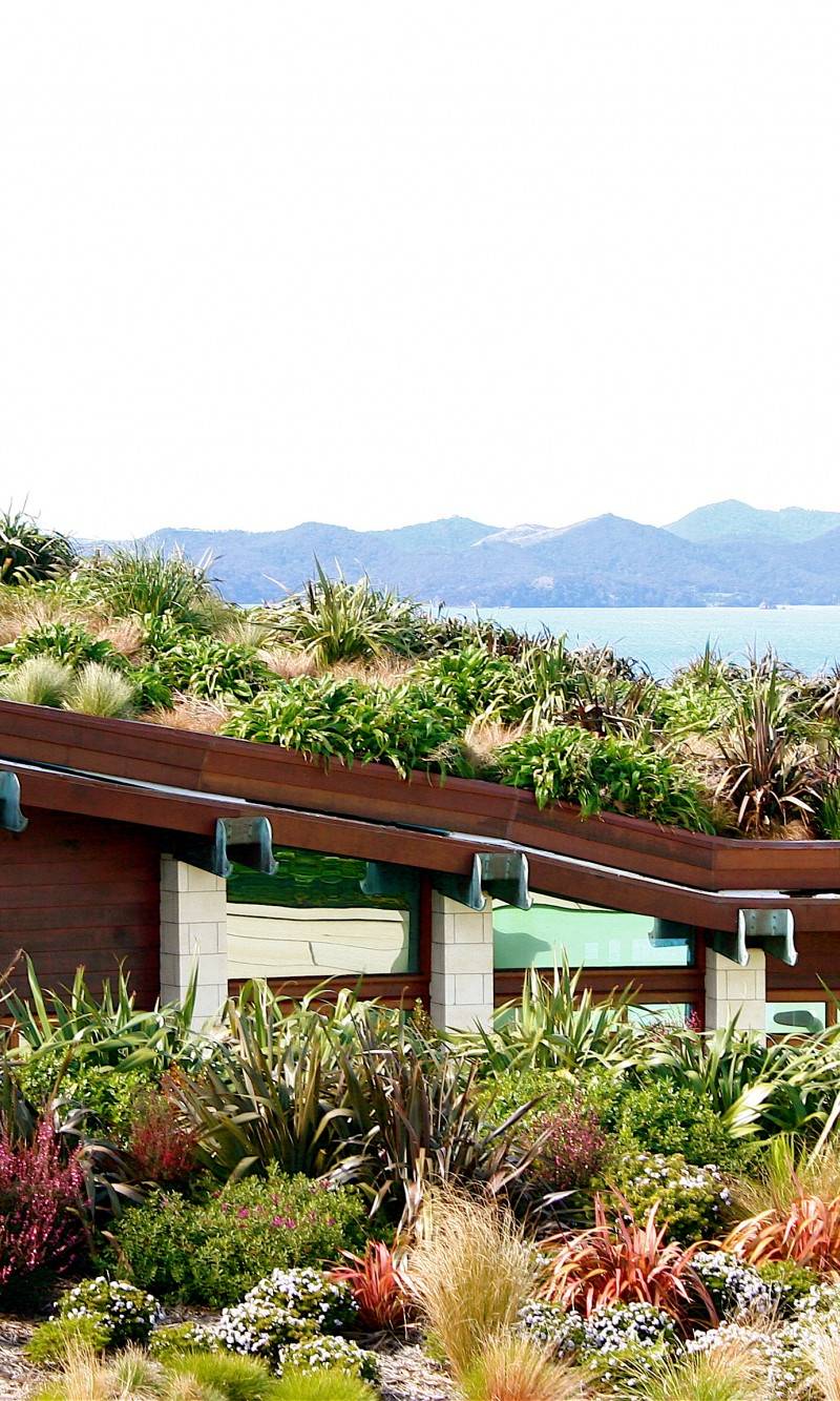 生态活体屋，Bay of Islands