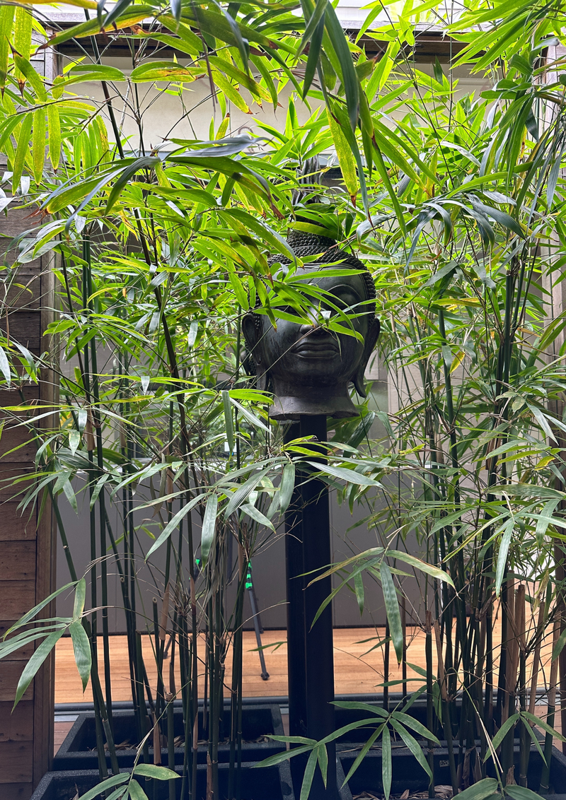 Paddington 維多利亞聯排別墅改造