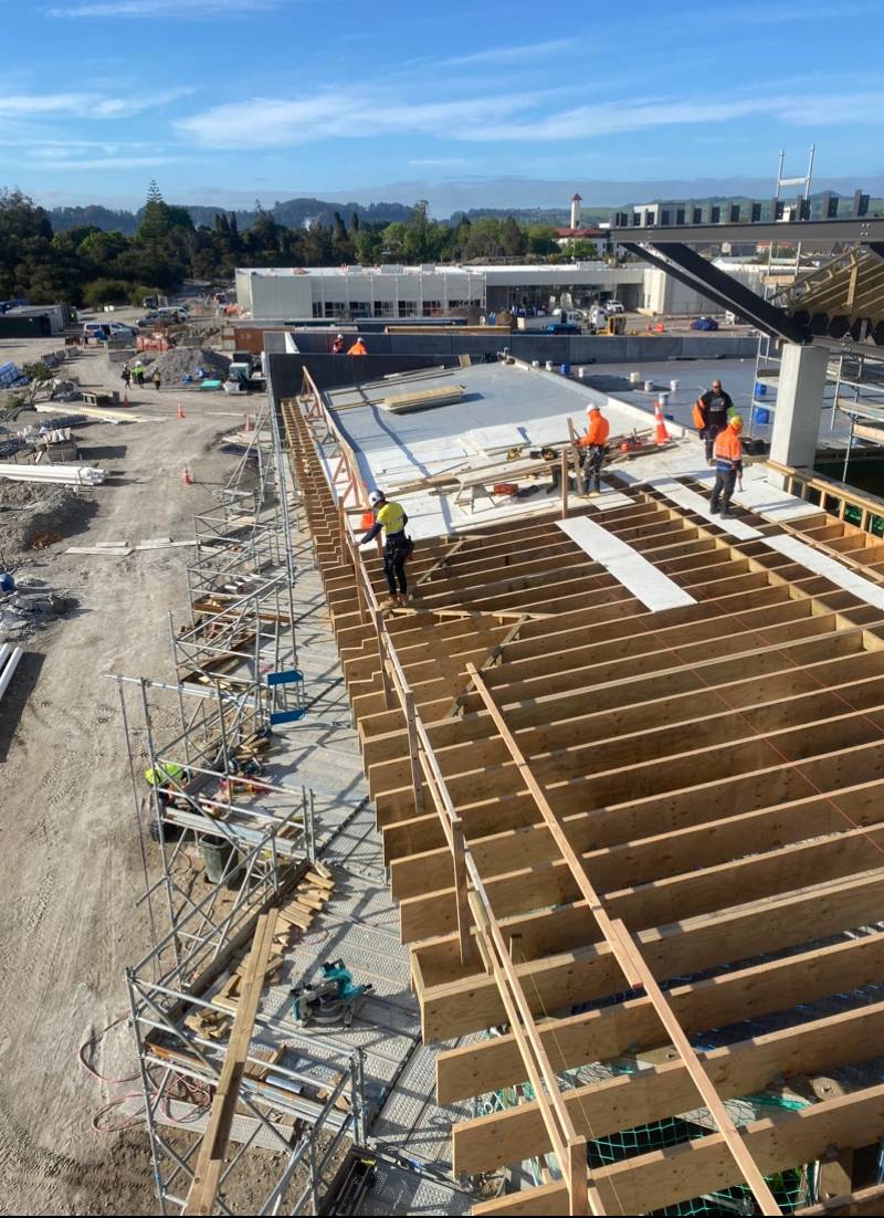 Wai Ariki Hot Spring Spa Centre Carpentry Works