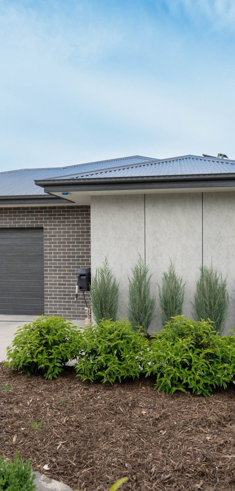 Throsby 新建住宅 Perunga Rise