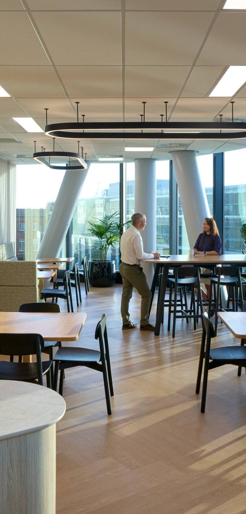CAANZ Wellington Office Fitout