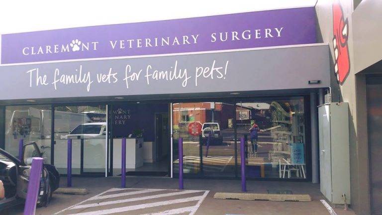 Claremont Veterinary Clinic 동물병원