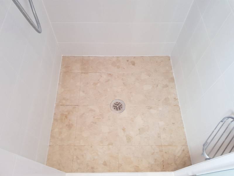 Remuera Shower Renovation