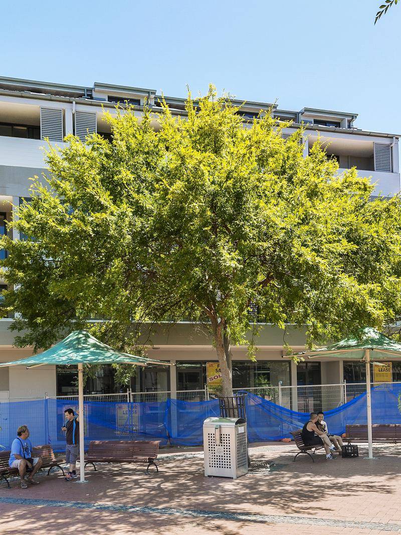 Campsie Four-Storey Apartment Project