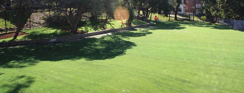 Coogee Public School Playground Renovation