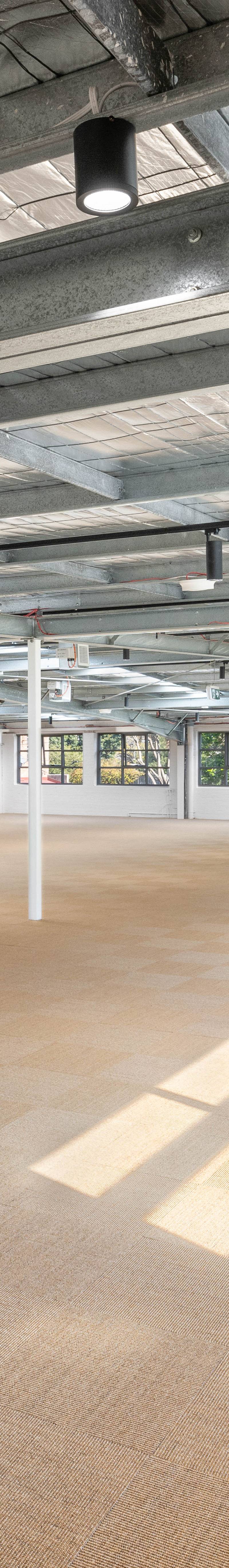 Dự án nâng cấp tầng lửng 145 Cleveland Street
