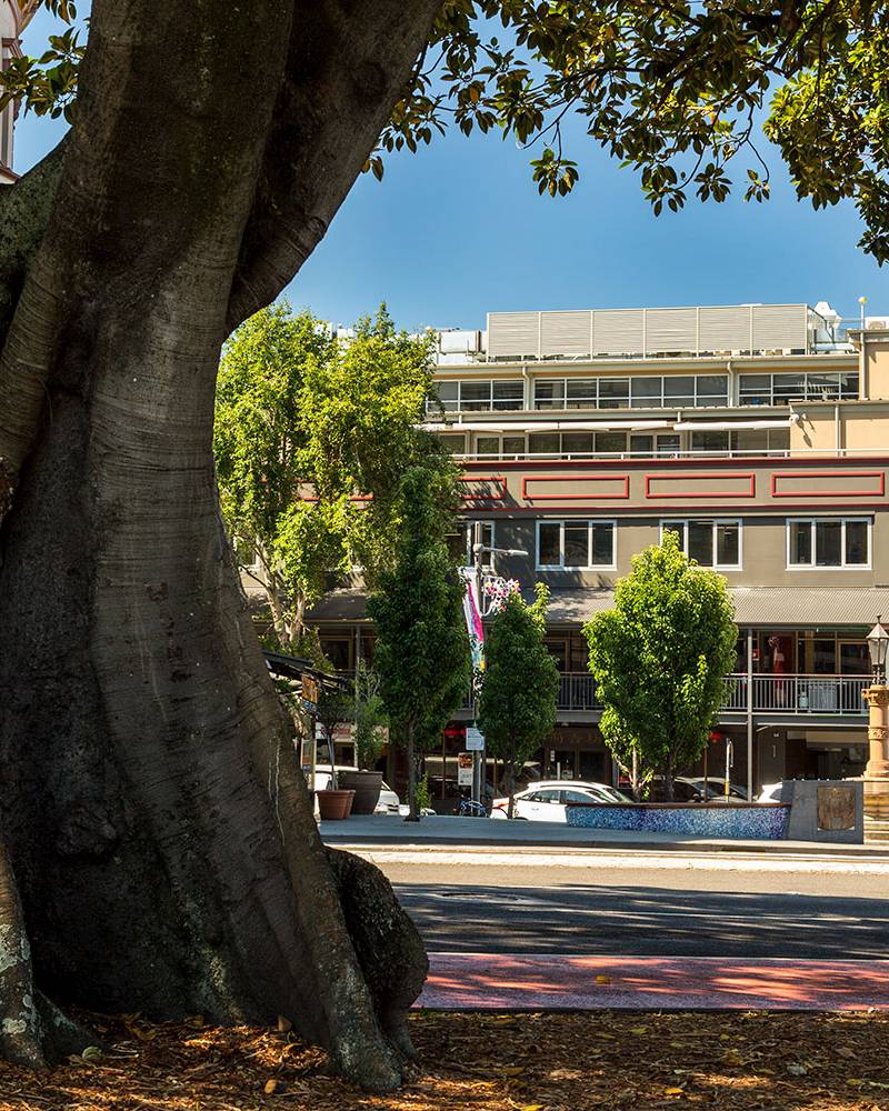 Glebe Point Road Commercial Building Renovation