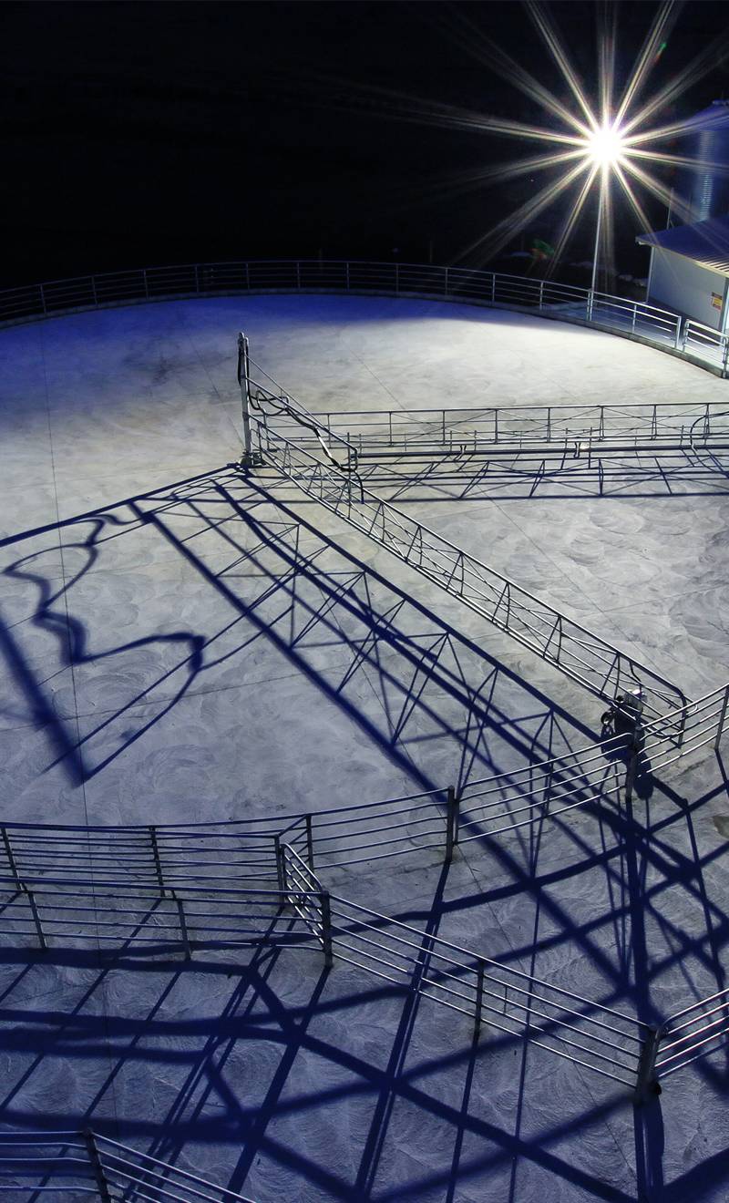 Rahotu Dairy Shed Construction Case Study