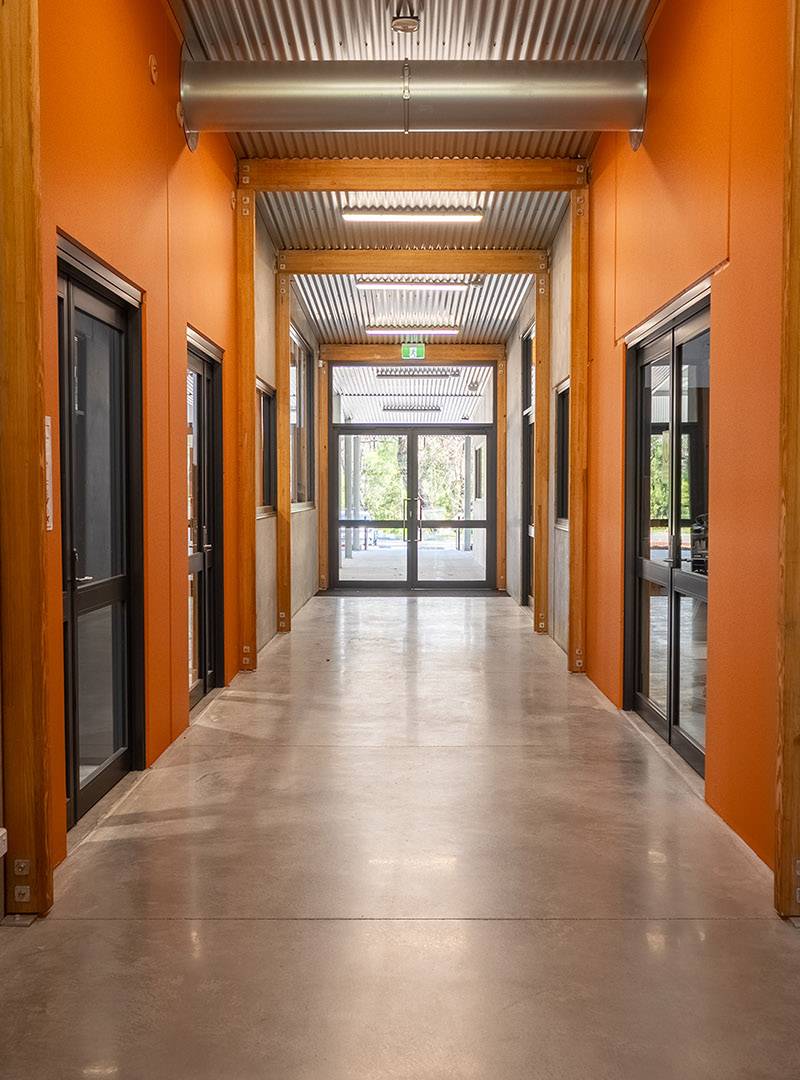 مشروع ورشة العمل TAS في Carroll College