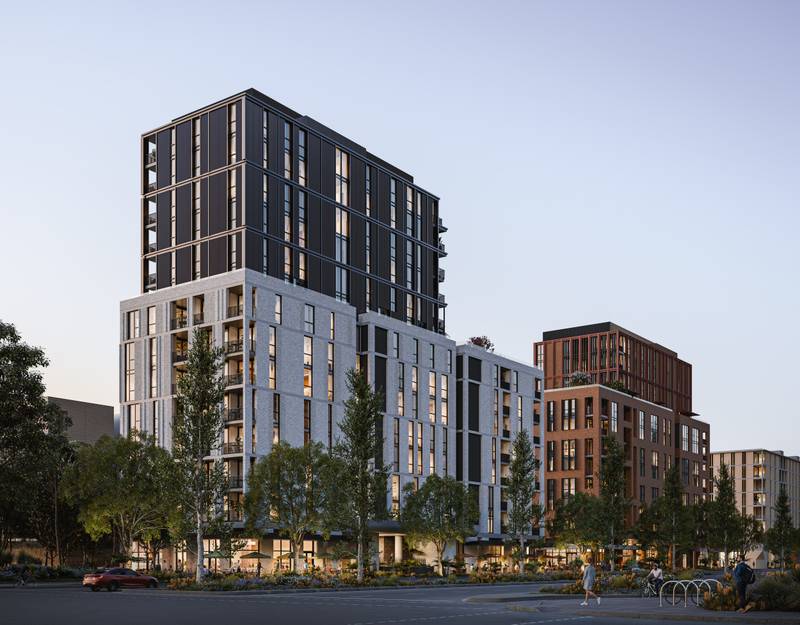 The Avenues 주택 프로젝트, Zetland