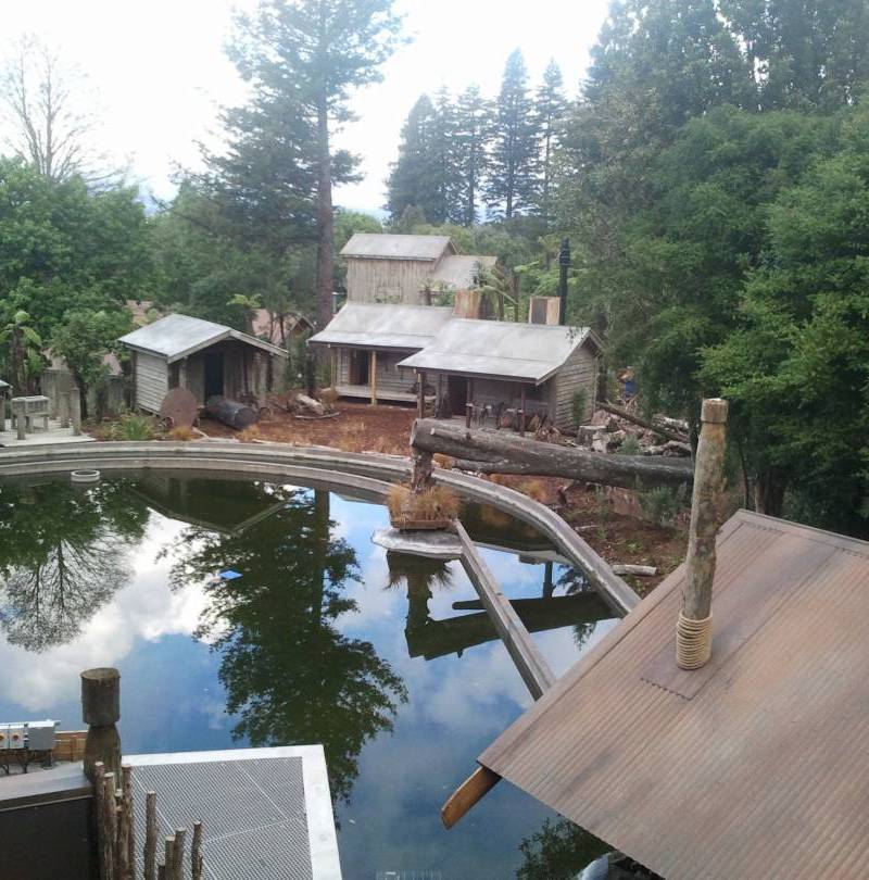 Rotorua Slide Theme Building Project