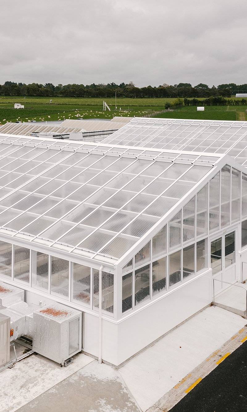 AgResearch PC2 Glasshouse Project, Palmerston North